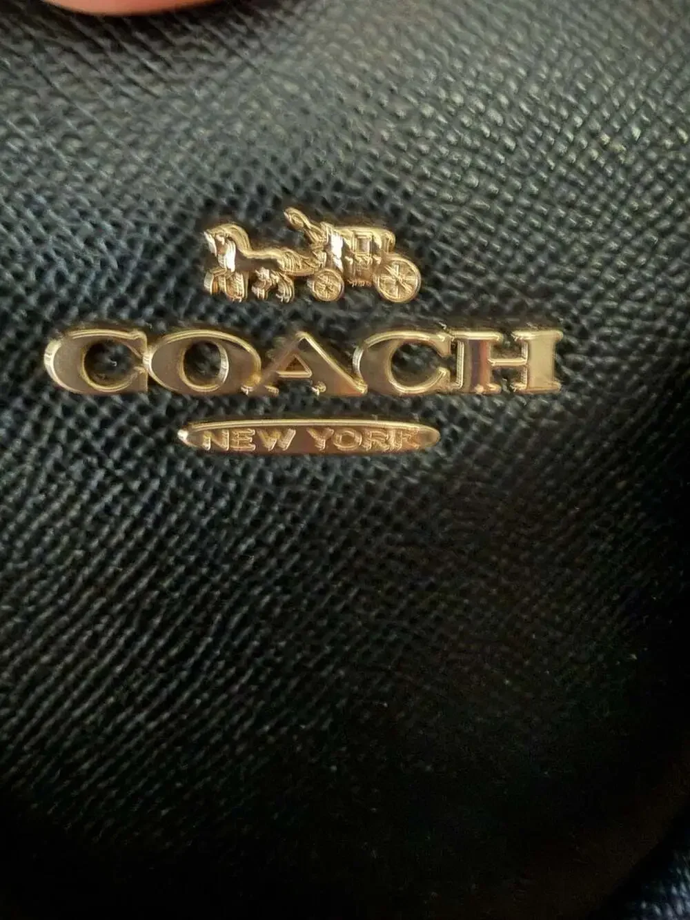Coach Sydney Satchel 2-Way Crossbody Bag in Black CA202 with Pouch